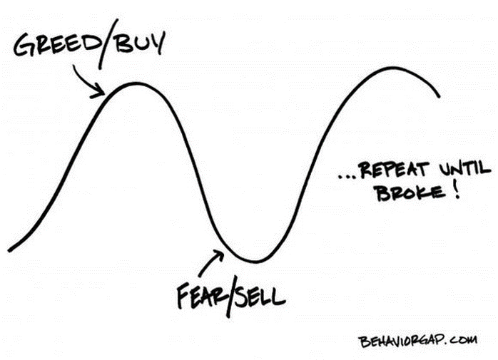 Investment Focus